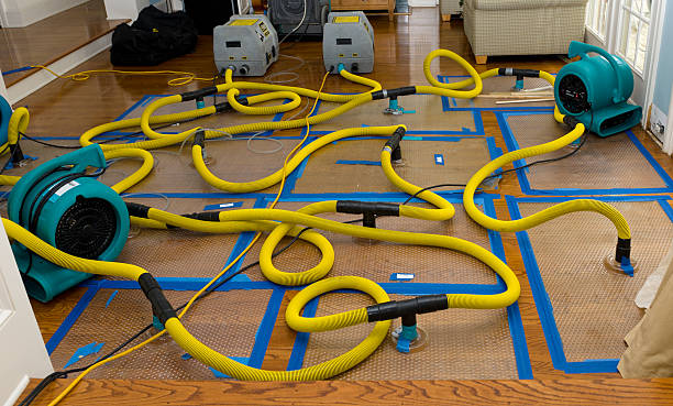Professional Basement Flood Cleanup technician working in Ridge, NY